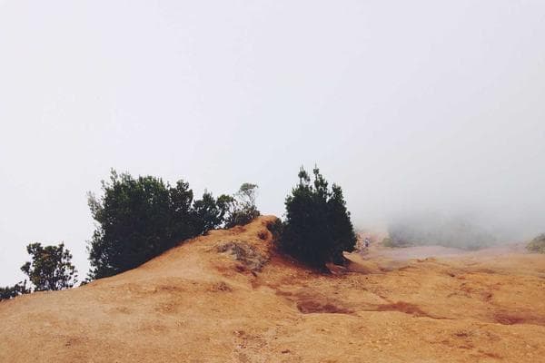 Le Canal du Midi à vélo